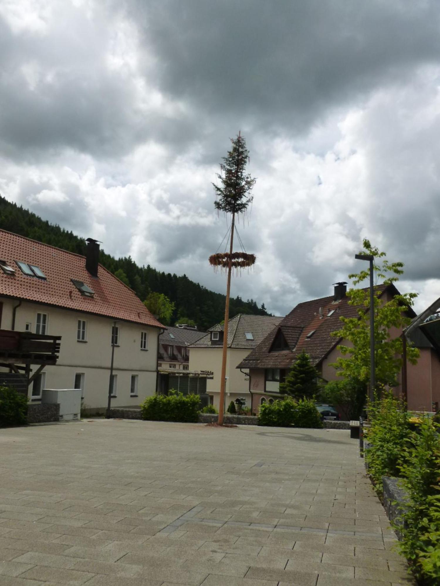 Gasthaus Waldhorn Bad Teinach-Zavelstein Dış mekan fotoğraf